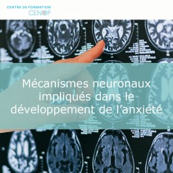 Conférence - Mécanismes neuronaux impliqués dans le développement de l’anxiété