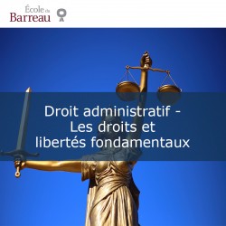 Droit administratif - Les droits et libertés fondamentaux