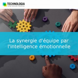 La synergie d'équipe par l'intelligence émotionnelle