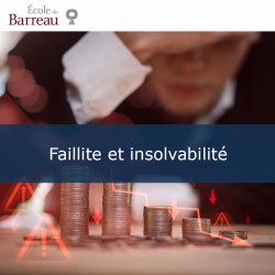 Faillite et insolvabilité